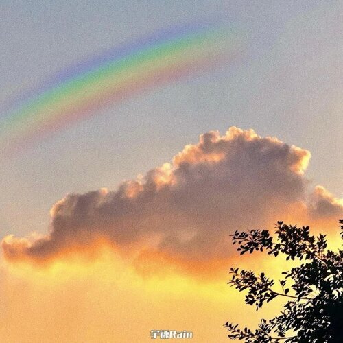 tou tou lang man ba(偷偷浪漫吧) banner